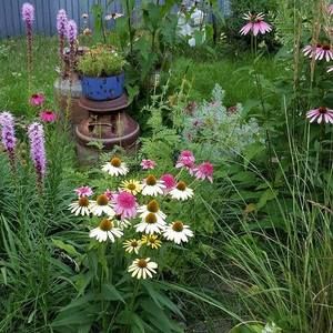 Meet your Posher, Pauline